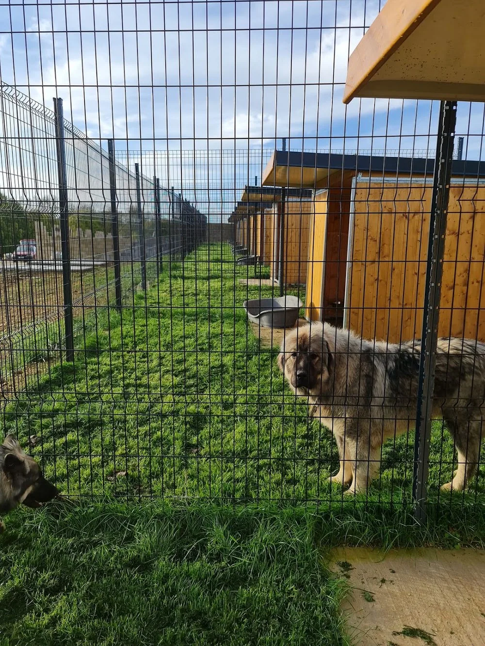 Domaine de Lookan - Grand-Est pet otel