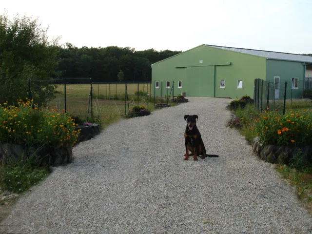 Ferme - Pension Le 1000 Pattes - Grand-Est pet otel