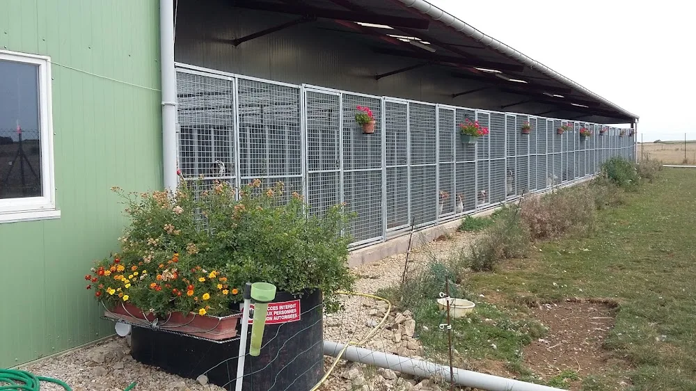 Ferme - Pension Le 1000 Pattes - Grand-Est pet otel görseli 3