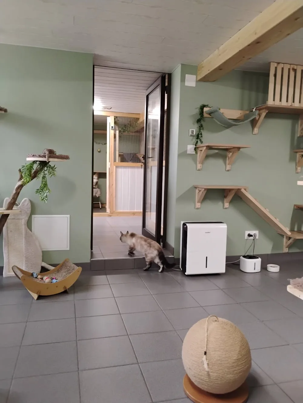 La Cabane des Félins - Grand-Est pet otel görseli 7