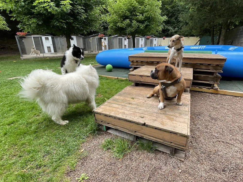 la colo des animaux - Grand-Est pet otel görseli 7