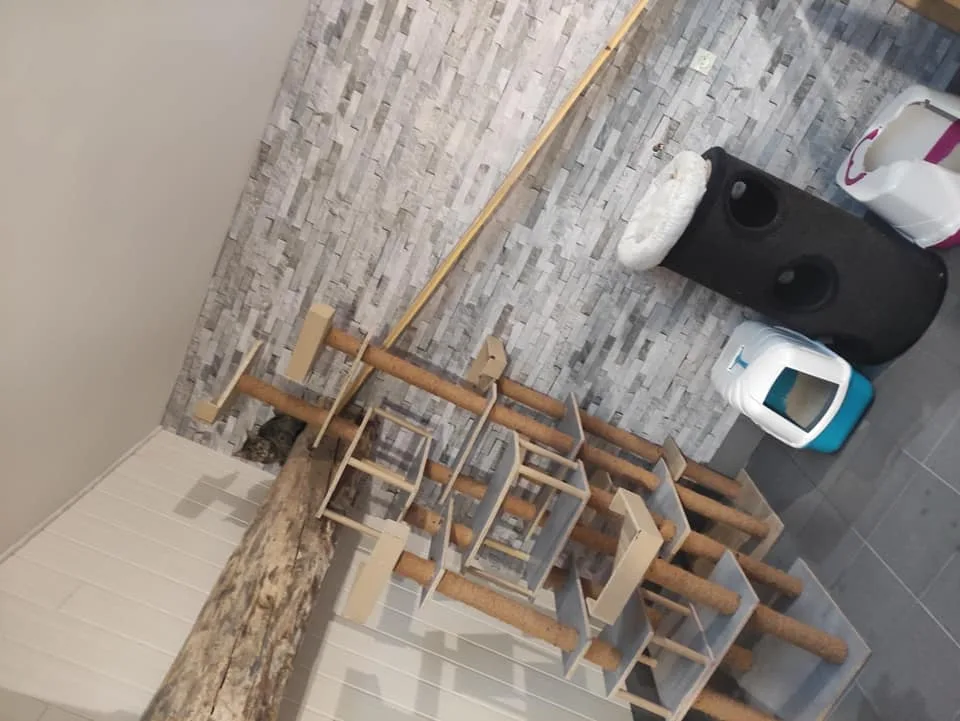 La Colonie du Madon - Grand-Est pet otel görseli 6