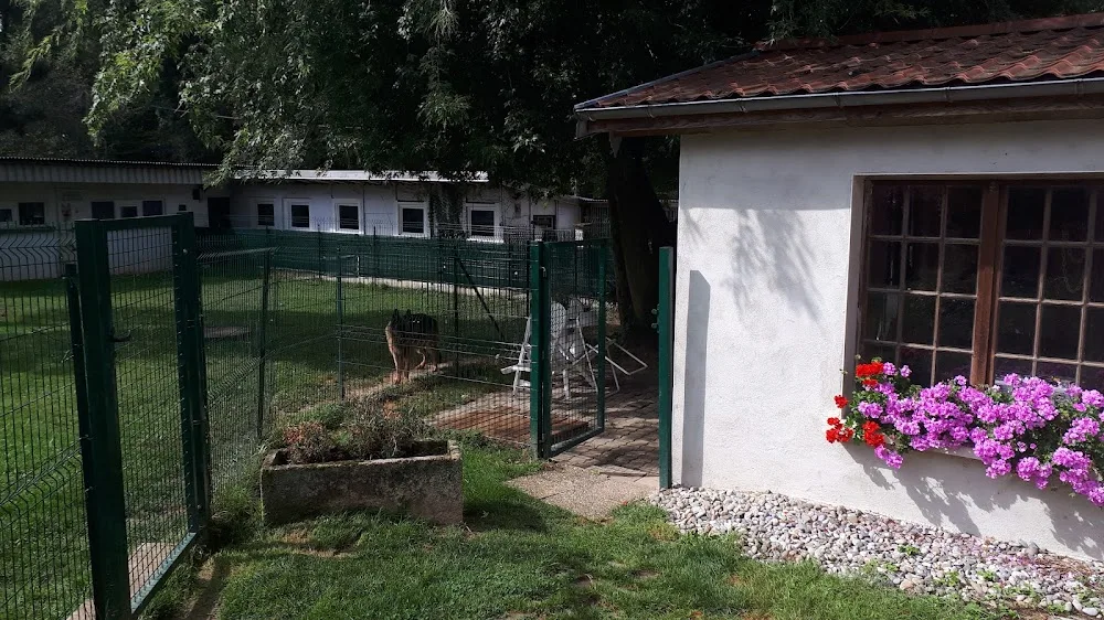La montée étoilée - Grand-Est pet otel görseli 2