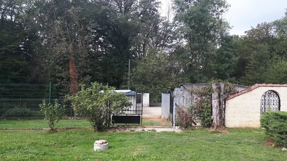 La montée étoilée - Grand-Est pet otel görseli 3