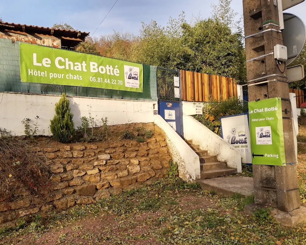 LE CHAT BOTTÉ - Grand-Est pet otel görseli 2