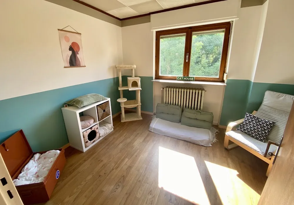 le Grenier à Titi - Grand-Est pet otel görseli 2
