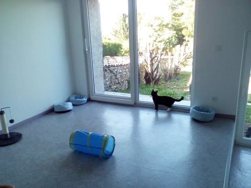 Le Mont des chats - Grand-Est pet otel görseli 2