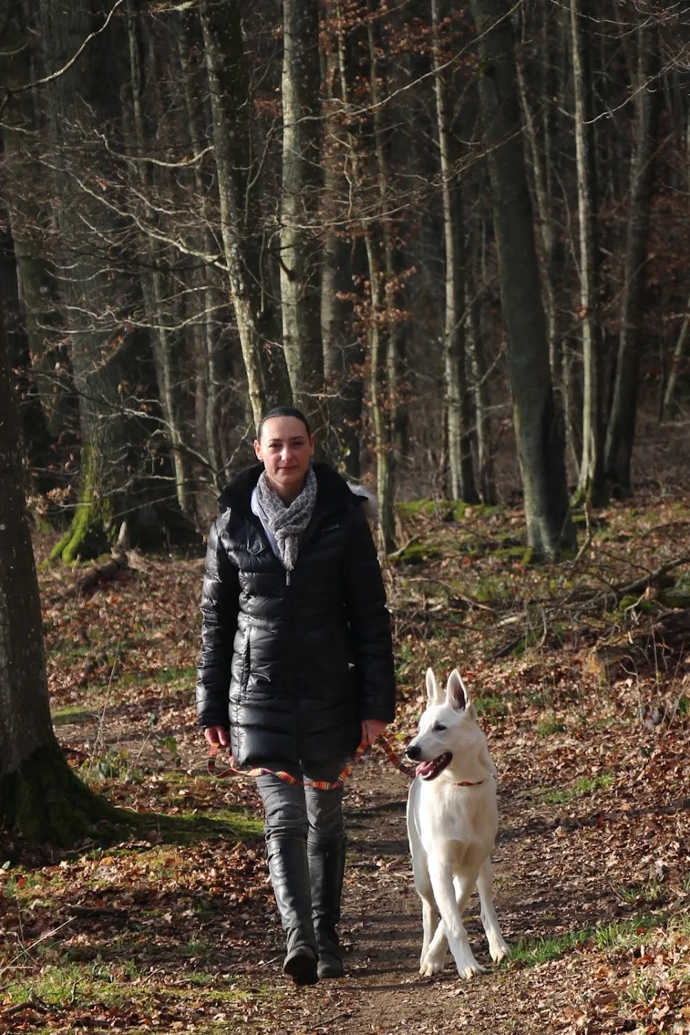 Les Amis d'Oslo - Pet Services - Grand-Est pet otel görseli 6