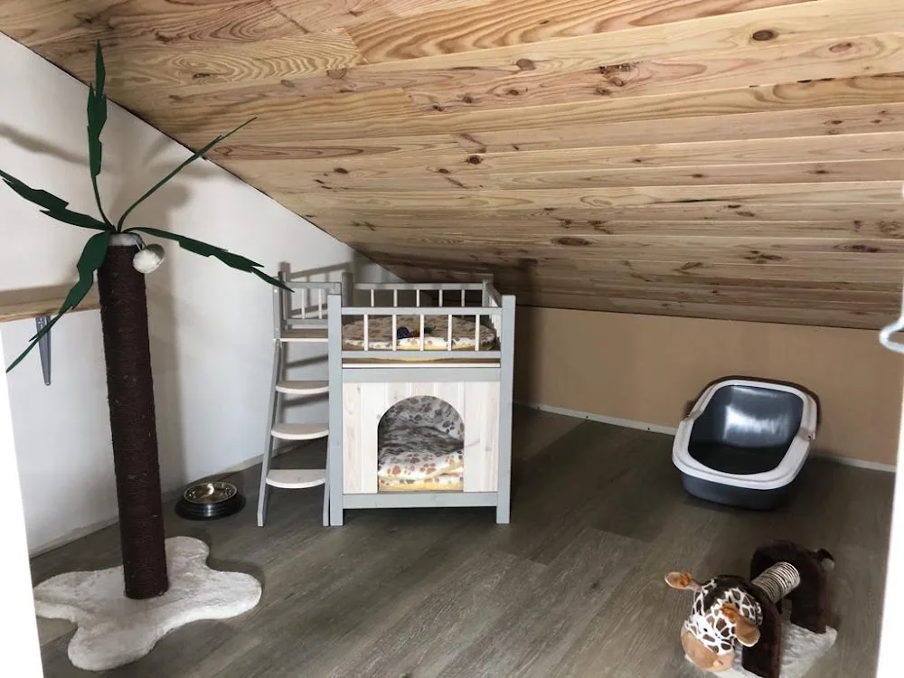 "Les coussinets57" - Grand-Est pet otel görseli 3