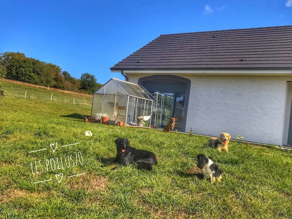 Les Poilus 70 GARDE ANIMAUX/PENSION CHIEN CHAT NAC Jessica&Jérôme - Grand-Est pet otel görseli 2