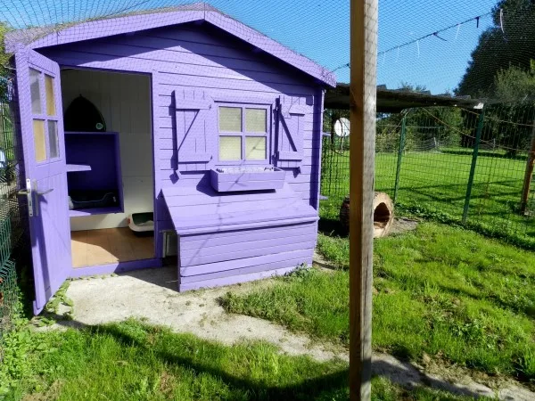 Pension Feline De Lorraine - Grand-Est pet otel görseli 2