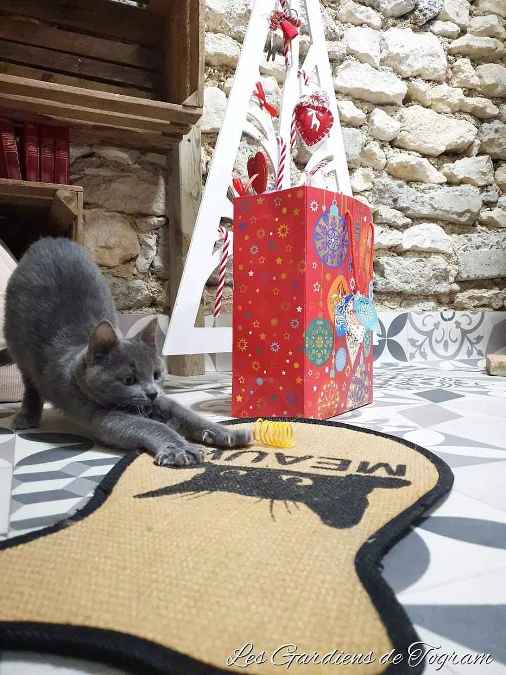 Pension pour chats Les Gardiens de TOGRAM - Grand-Est pet otel görseli 6