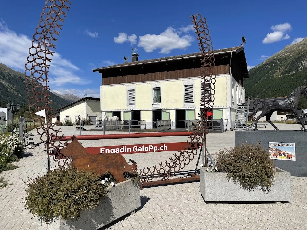 Engadingalopp GmbH - Graubünden pet otel