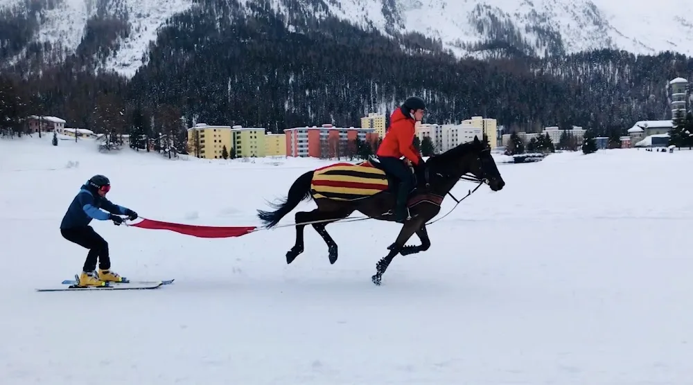 Engadingalopp GmbH - Graubünden pet otel görseli 3
