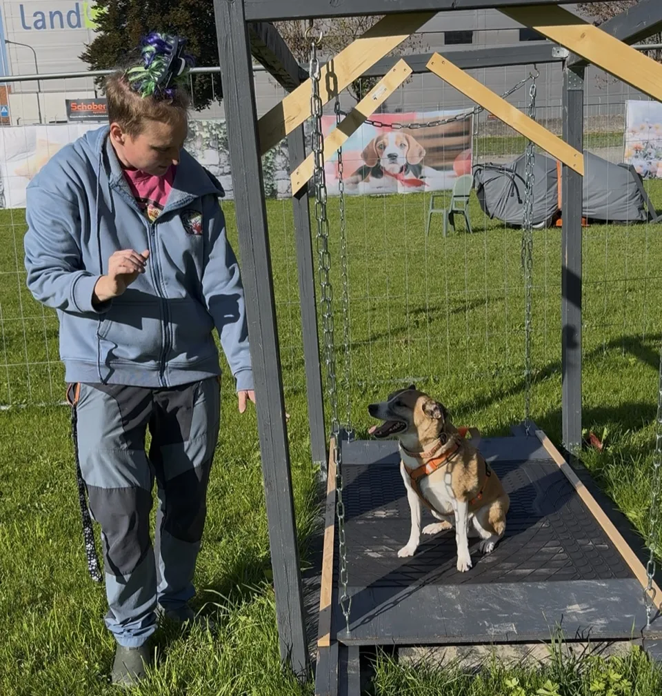 Ge's Dog Degility - Graubünden pet otel