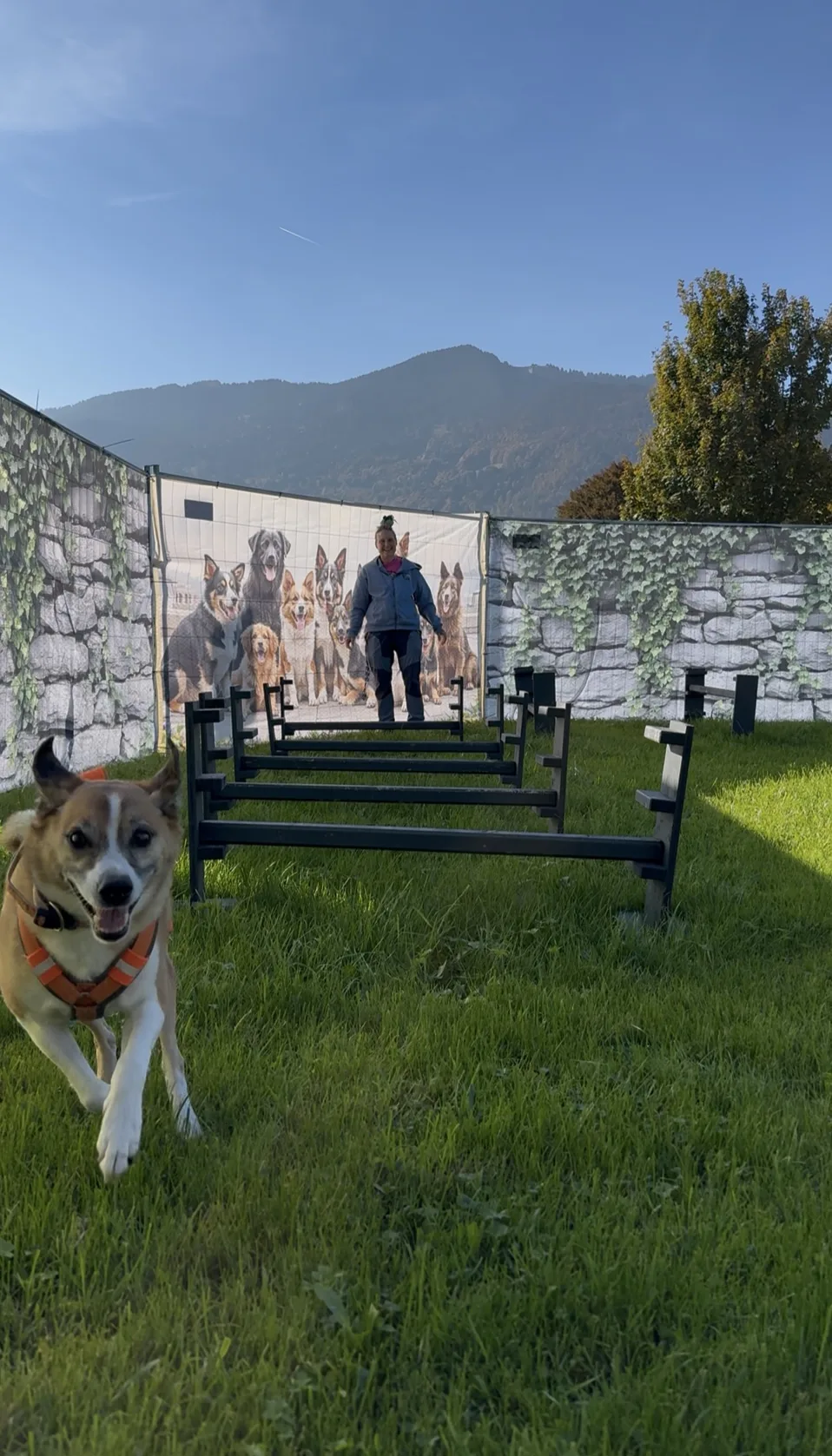 Ge's Dog Degility - Graubünden pet otel görseli 3