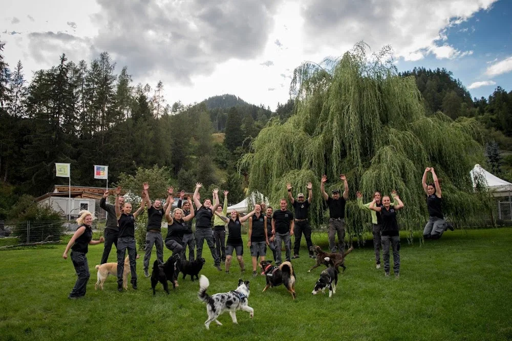 Tierhotel Ramosch - Graubünden pet otel görseli 2