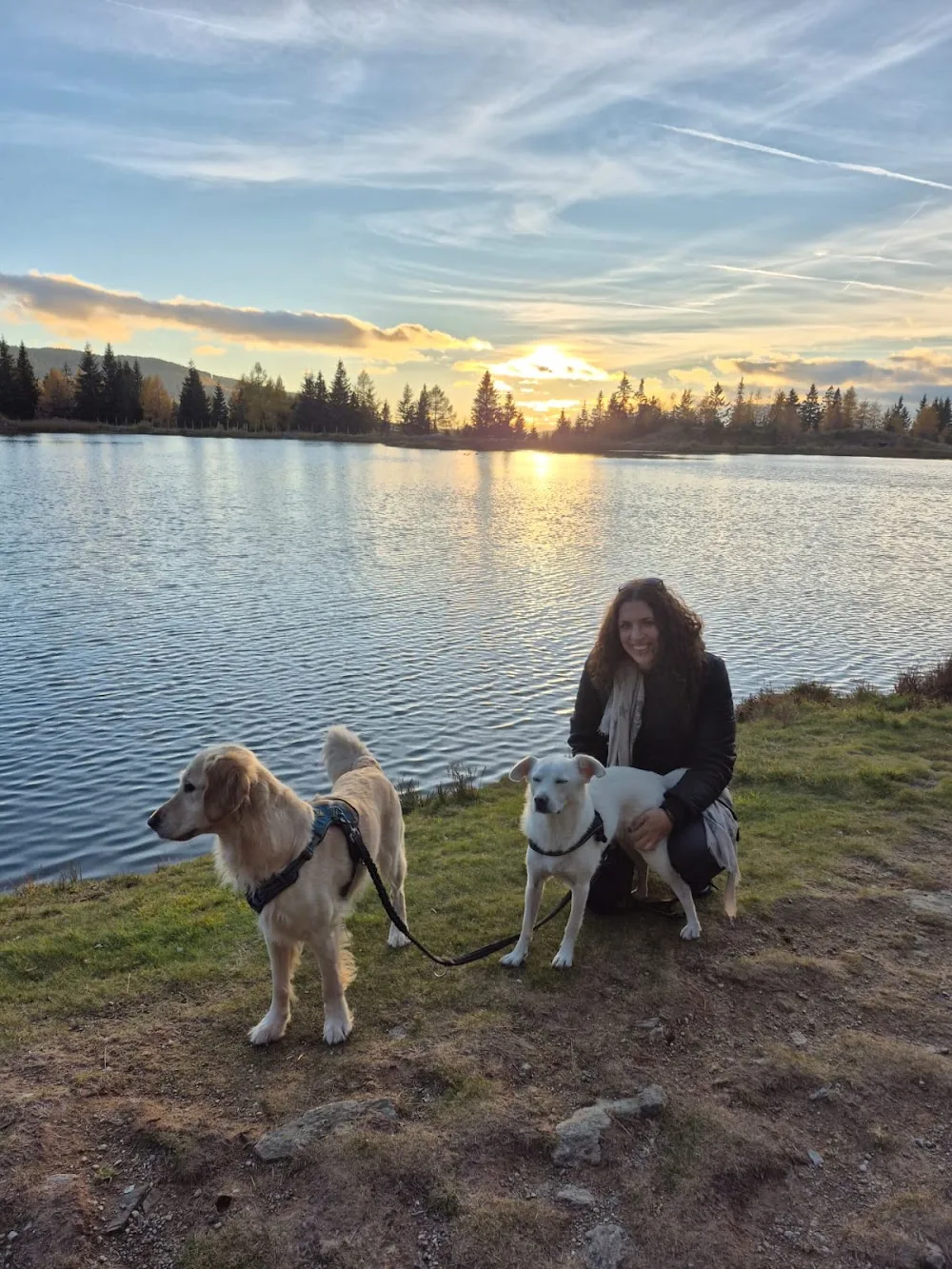 Hemmas Tiertraining und Betreuung - Graz pet otel görseli 3