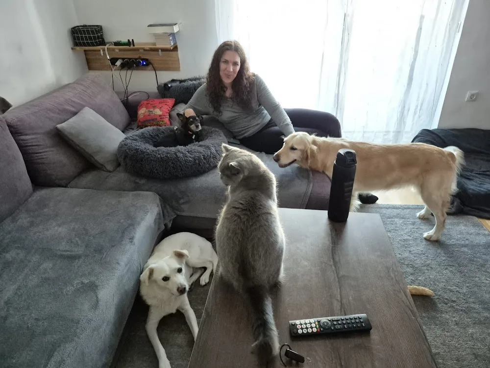Hemmas Tiertraining und Betreuung - Graz pet otel görseli 6