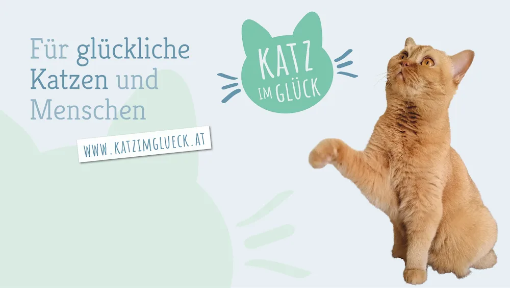 KATZ IM GLÜCK - Verhaltensberatung und Urlaubsbetreuung für Katzen - Graz pet otel görseli 2