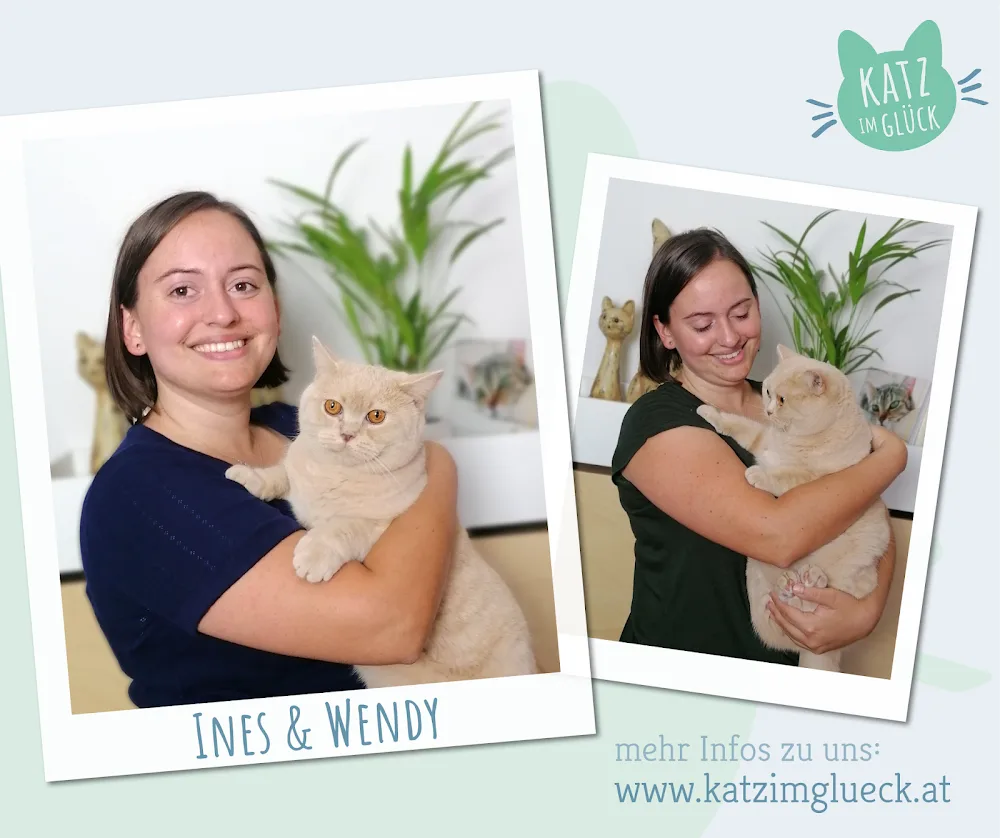 KATZ IM GLÜCK - Verhaltensberatung und Urlaubsbetreuung für Katzen - Graz pet otel görseli 3
