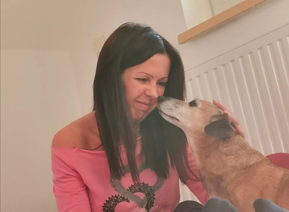 Tierenergetik - Tierbetreuung - animal-in-harmony - Graz pet otel görseli 3