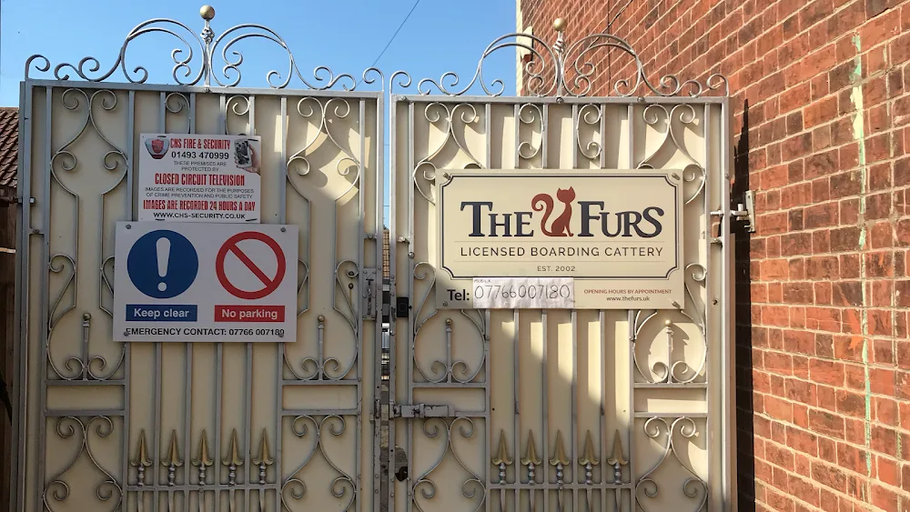 The Furs Cattery - Great Yarmouth pet otel