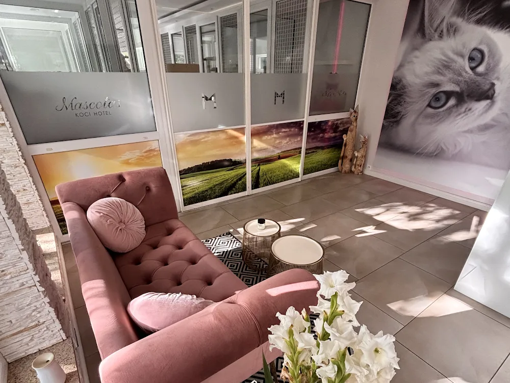 Hotel Dla Kotów MASCOTAS - Greater Poland pet otel