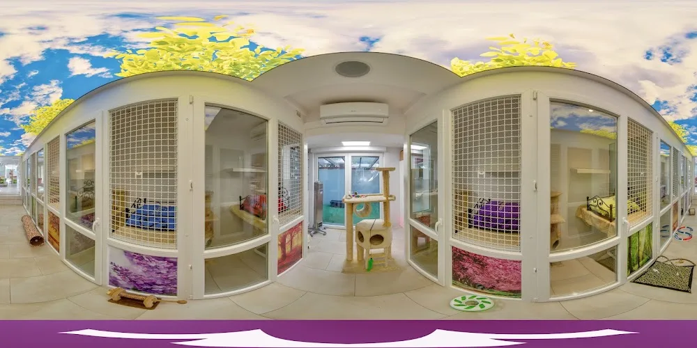 Hotel Dla Kotów MASCOTAS - Greater Poland pet otel görseli 4