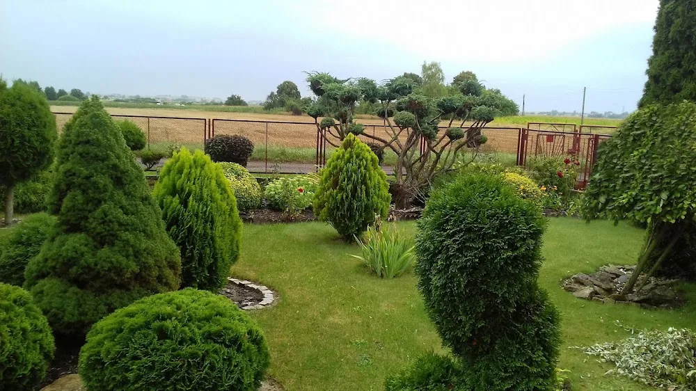 Hotel dla zwierząt Sit & Stay - Greater Poland pet otel görseli 7