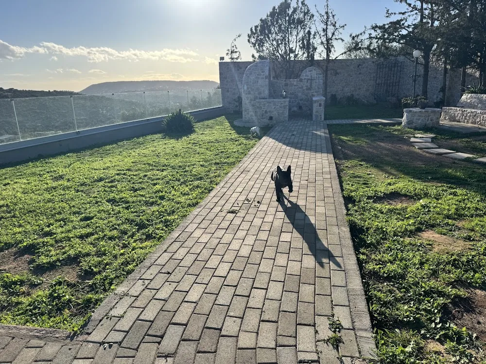 VP DEL SOL FRENCH BULLDOG & POMERANIAN BREEDING KENNEL - Greece pet otel