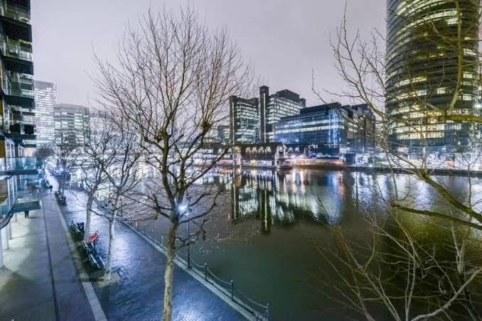 Verv Isle of Dogs - One-Bedroom Apartment - Greenwich pet otel görseli 5