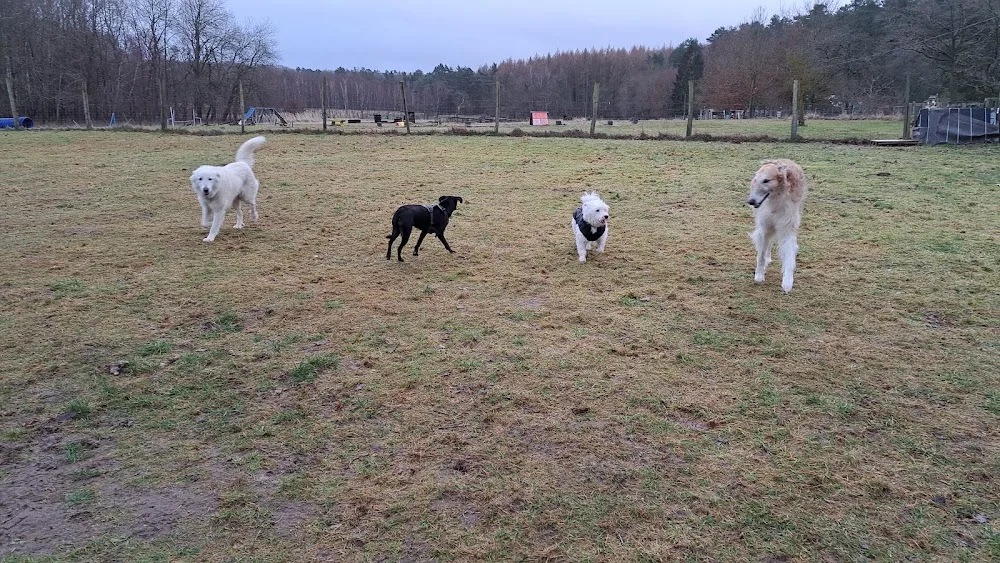 Tierferienhof Eichenhag | Hundeschule & Hundepension - Greifswald pet otel
