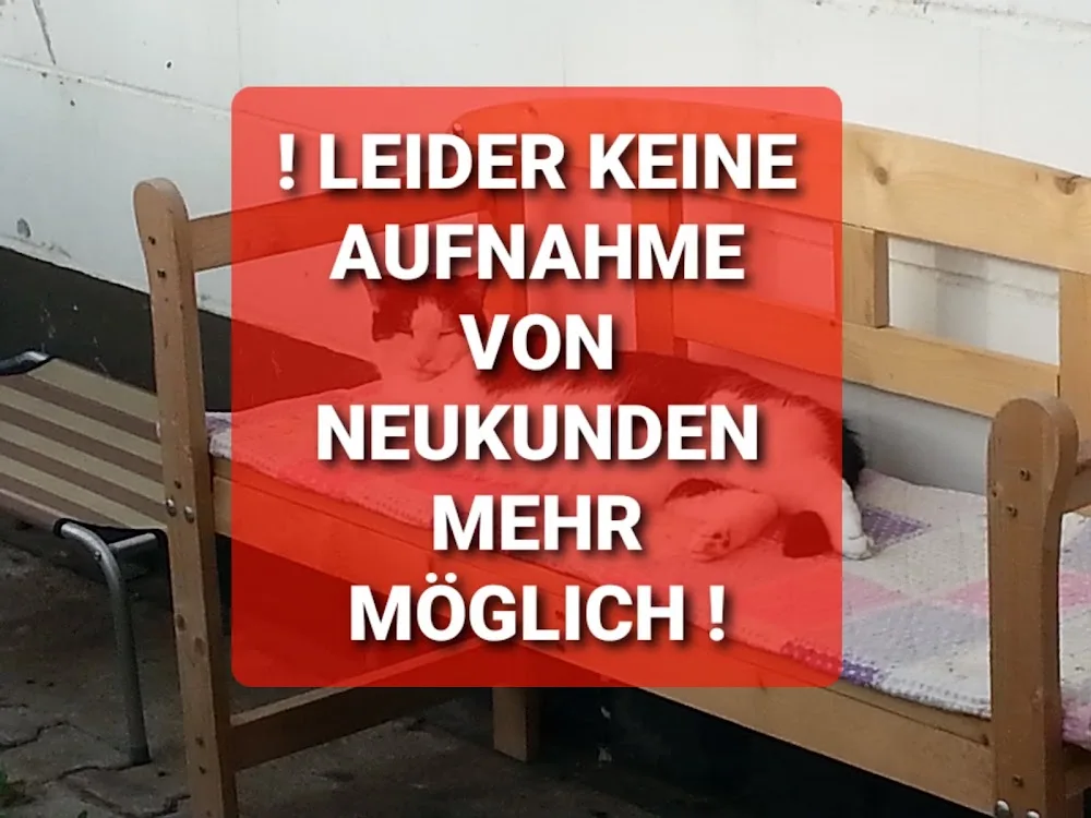 Katzenpension Elsdorf-Widdendorf - Grevenbroich pet otel