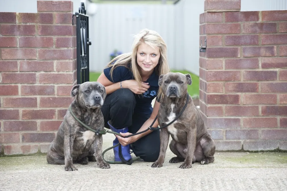 Barnetby Boarding Kennels - Grimsby pet otel