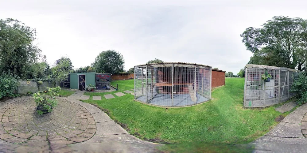 Field Cottage Cattery - Grimsby pet otel görseli 4