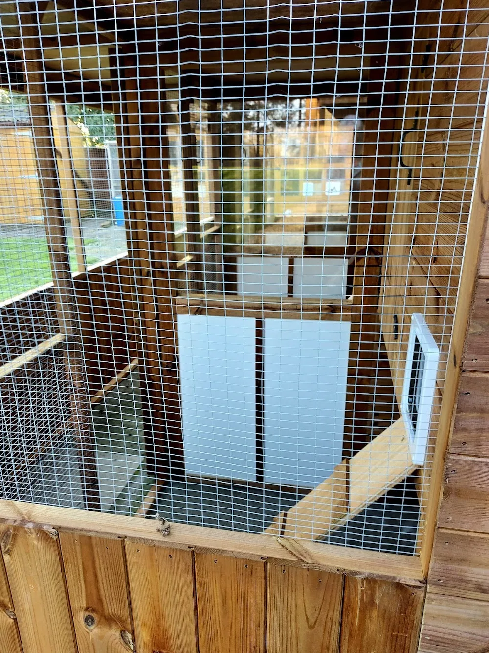 Field Cottage Cattery - Grimsby pet otel görseli 5