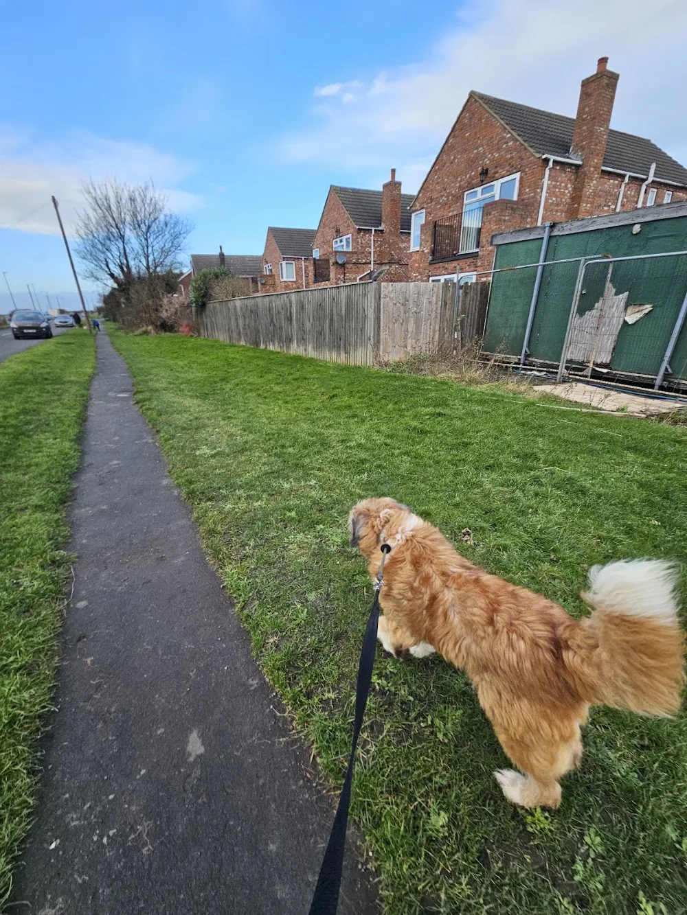 Immingham Boarding Kennels and Rehoming - Grimsby pet otel görseli 3