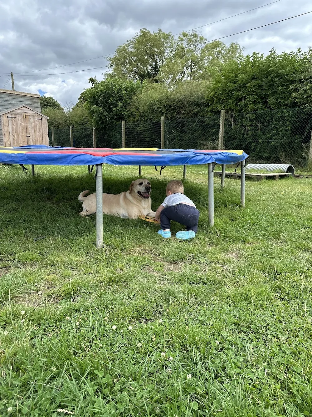 In the Dog House Dog Park - Grimsby pet otel
