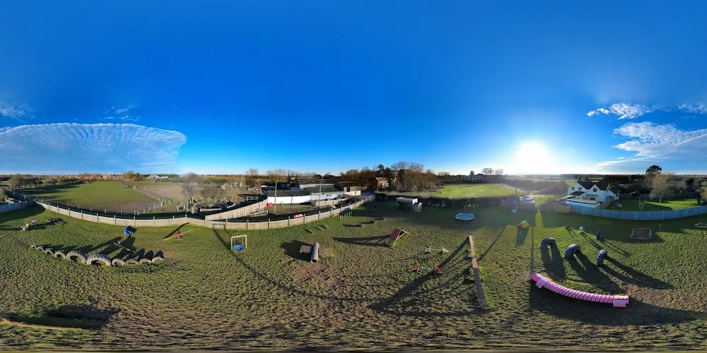 In the Dog House Dog Park - Grimsby pet otel görseli 3