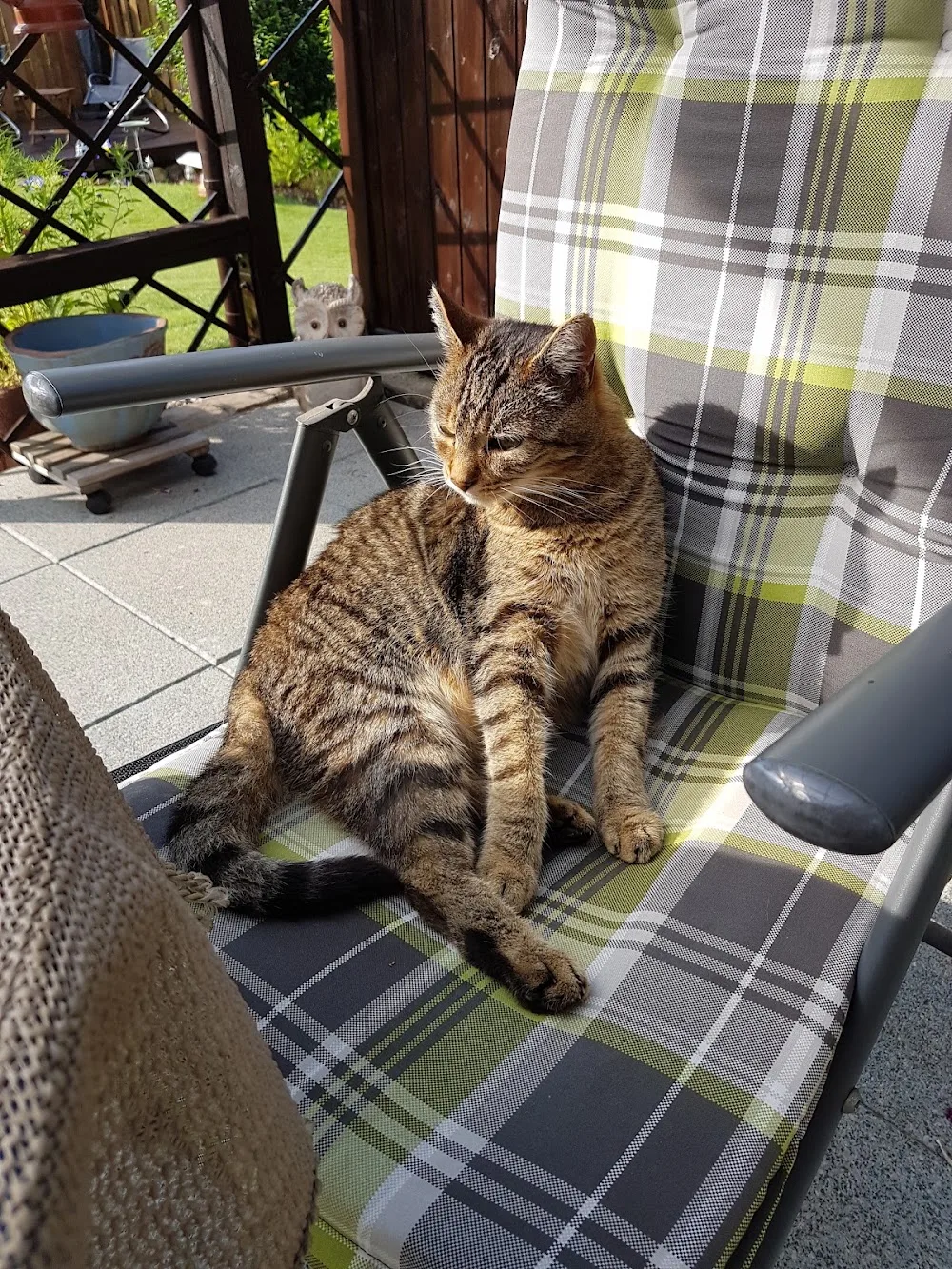 Claus-Peter Fricke Tierpension - Gronau (Leine) pet otel görseli 3