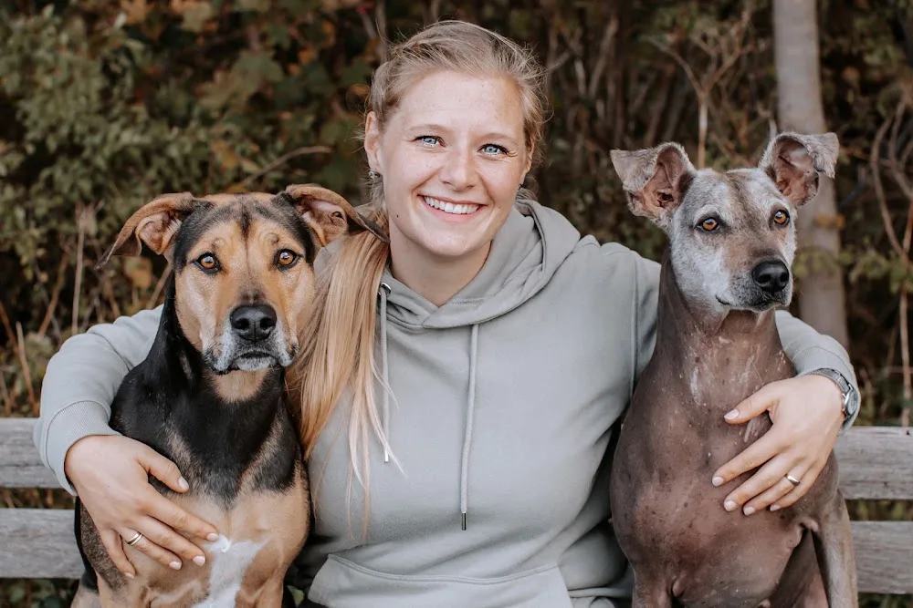 Hannah's Hunde Hotel - Gronau (Leine) pet otel