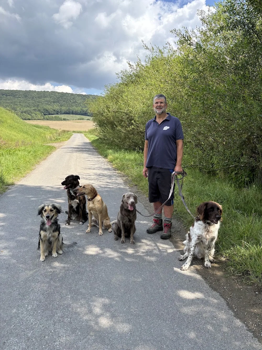 Hunde Freude - Mobile Hundeschule - Ausbildung tiergestützter Pädagogik- & Therapiebegleithundeteams - familiäres Hundehotel - Gronau (Leine) pet otel görseli 3