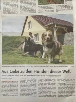 HundeHaus Hemmingen - Gronau (Leine) pet otel görseli 3
