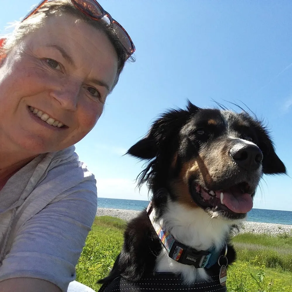 Hundeschule + Hundepension Birgit Albrecht - Gronau (Leine) pet otel görseli 5