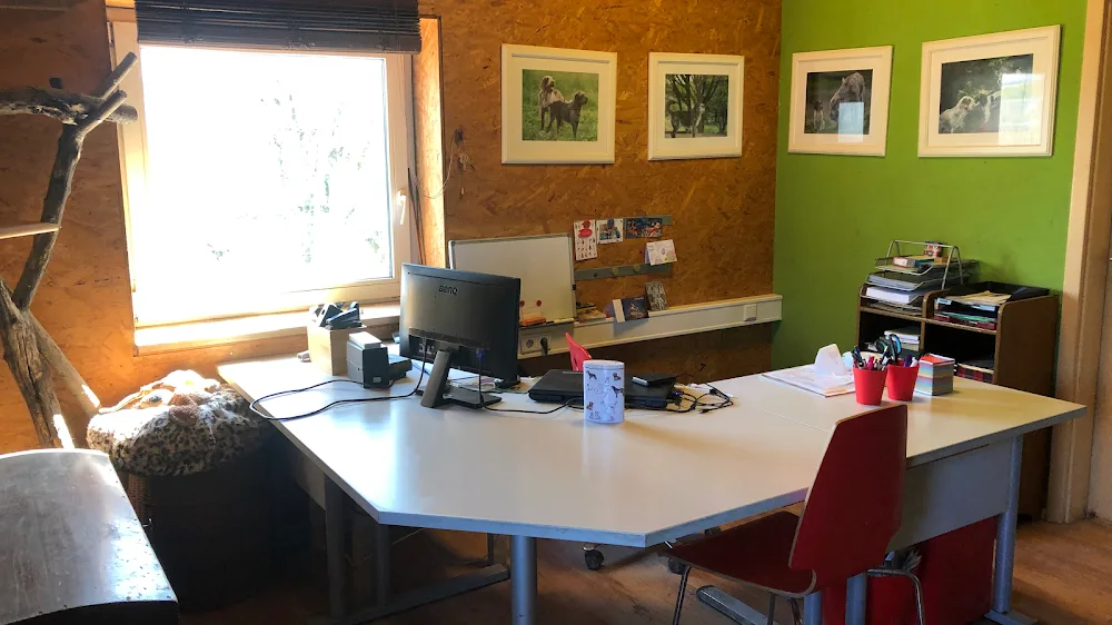 leinenlos Hundepension - Gronau (Leine) pet otel görseli 2