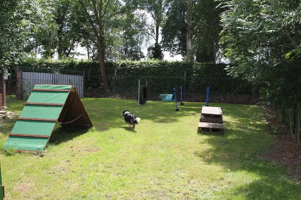 Pfötchenhof Kolenfeld - Gronau (Leine) pet otel