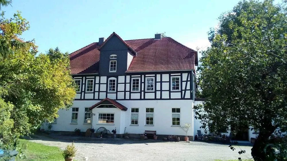 Pfötchenpension Bad Münder Katzenpension Tierbetreung Katzensitter Tiersitter - Gronau (Leine) pet otel