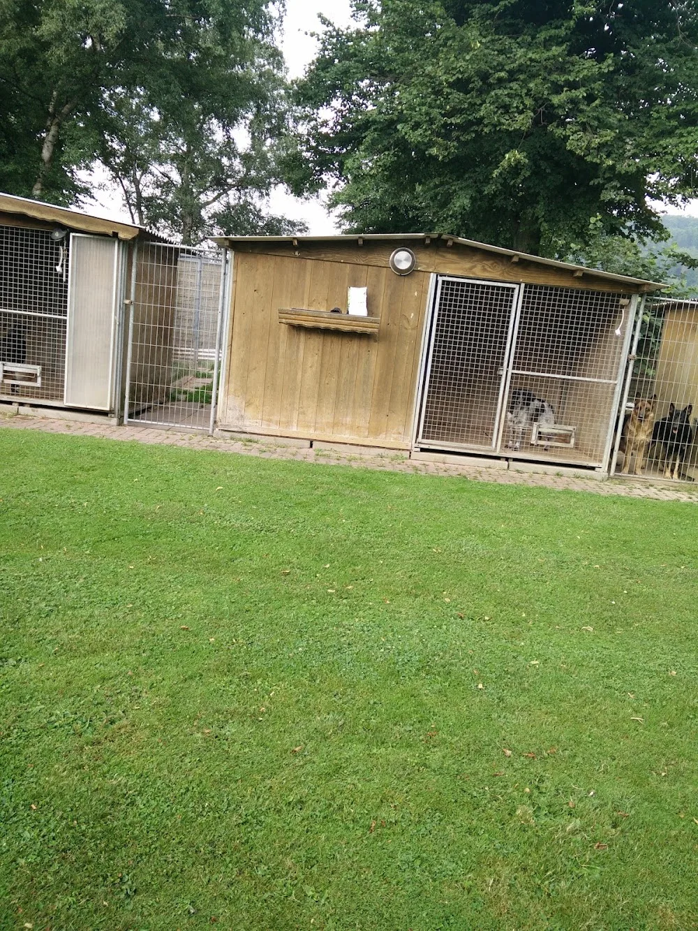 Tierpension am Ith - Gronau (Leine) pet otel görseli 6
