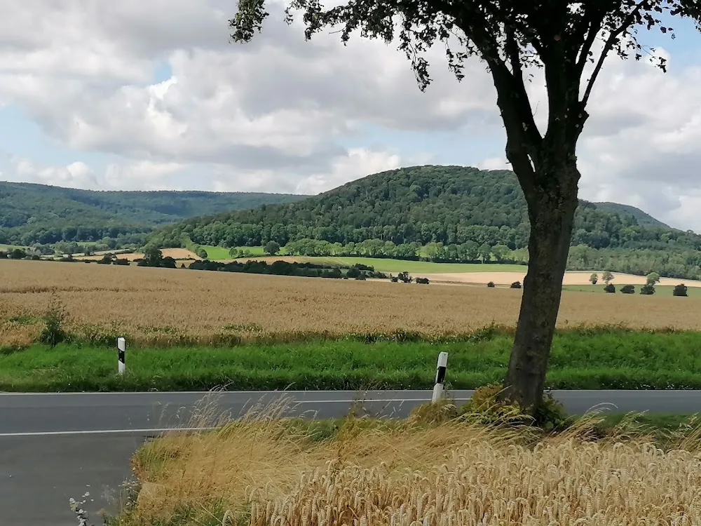 Tierpension am Ith - Gronau (Leine) pet otel görseli 7
